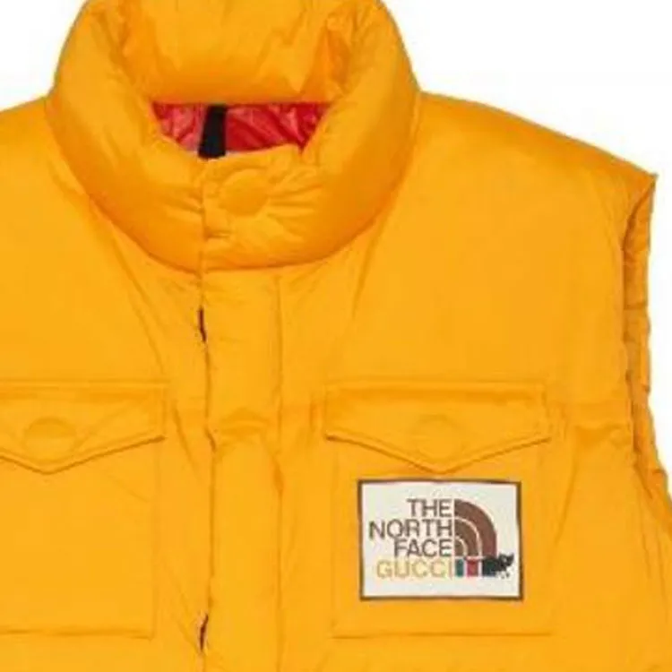 GUCCI X The North Face Down Vest-3