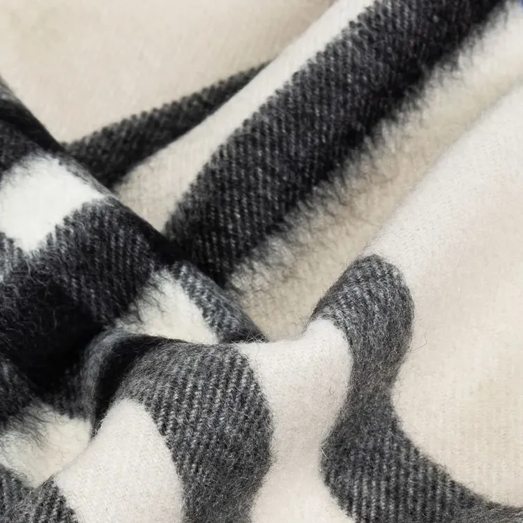 Burberry Check Printed Fringed Scarf-2