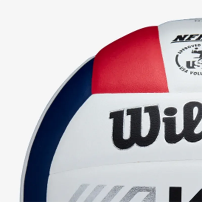 Wilson Volleyball-1