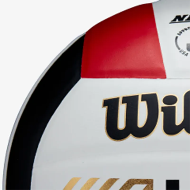 Wilson Volleyball-1