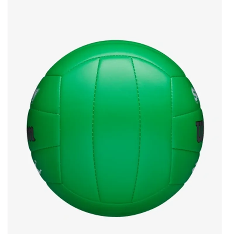 Wilson Volleyball-1