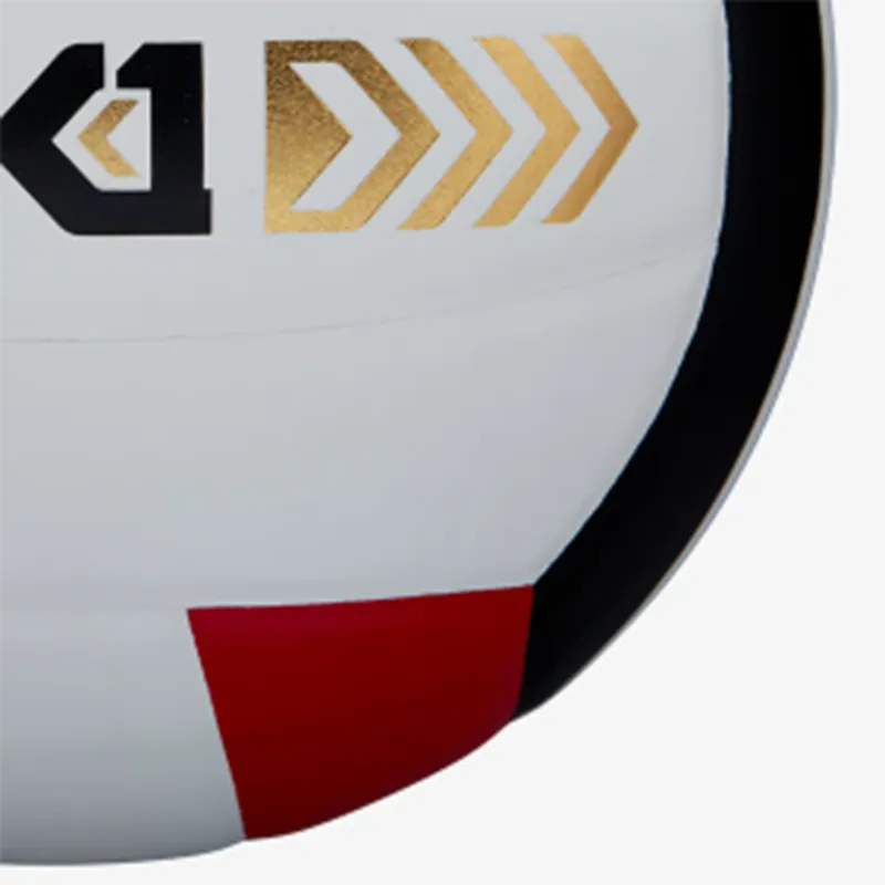 Wilson Volleyball-2