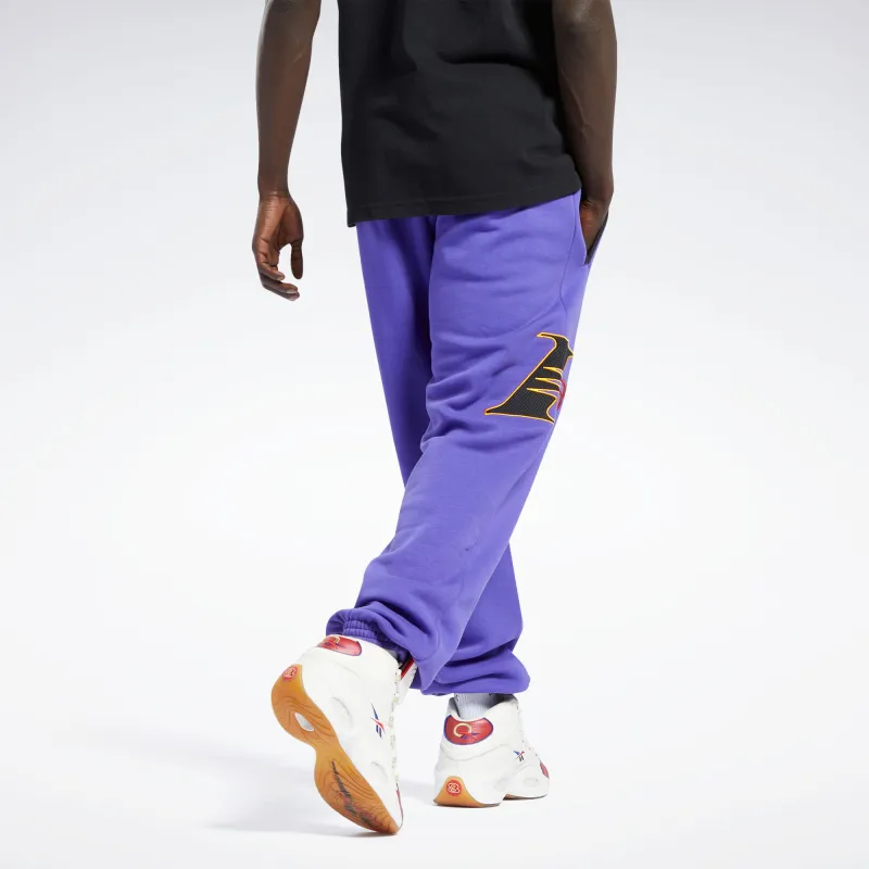 Reebok AI I3 FLEECE Knitted Sports Pants Men's Blue-2