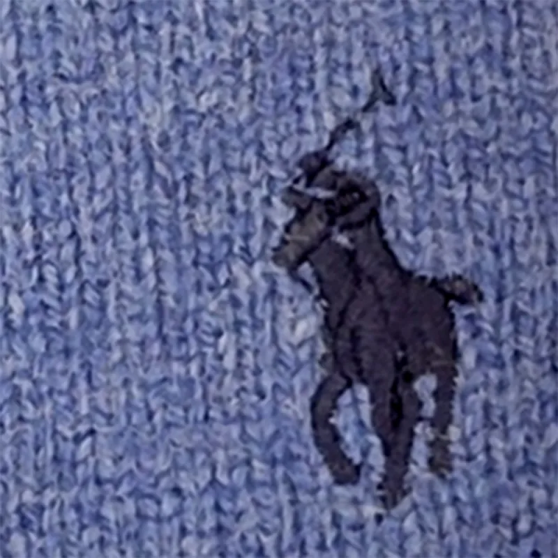 Polo Ralph Lauren SS23 Sweater Men's Blue-4