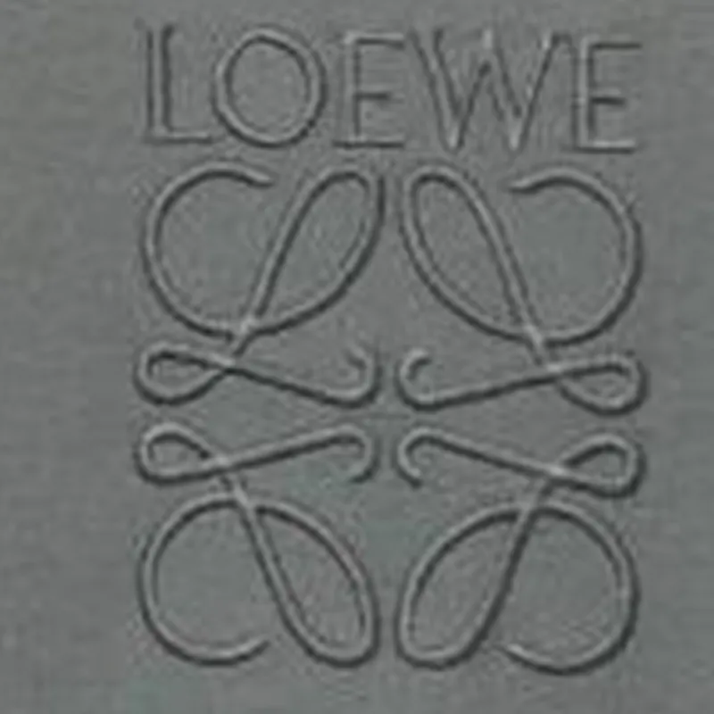 LOEWE Overdyed Anagram T Shirt-6