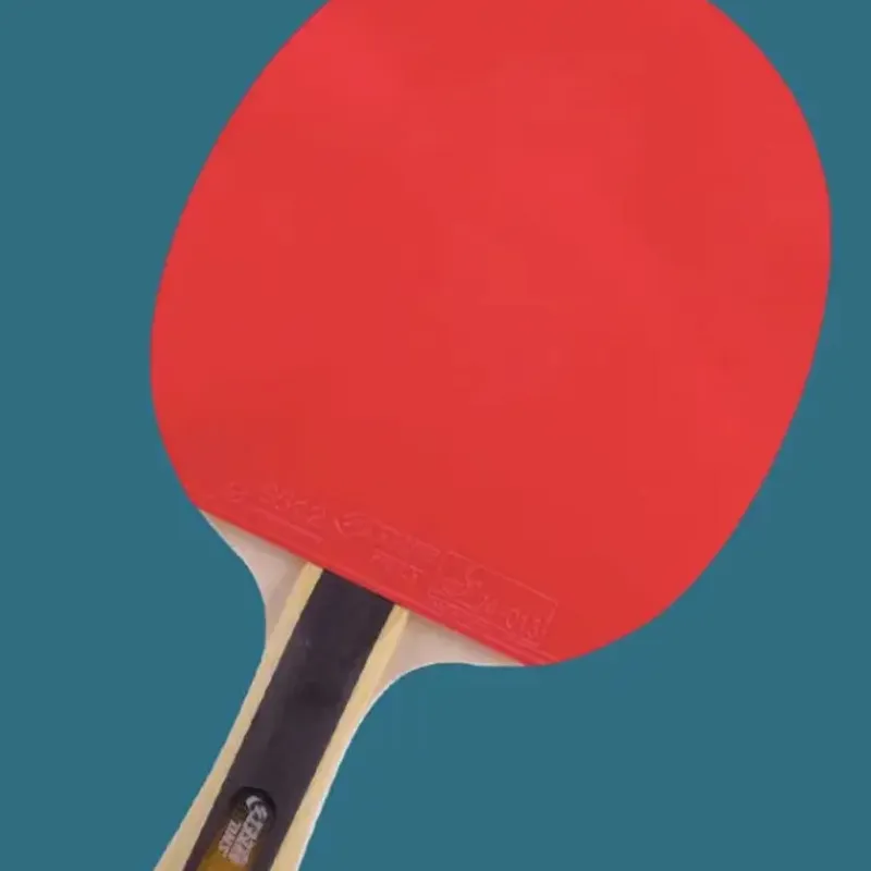 DHS Ping Pong Paddles-4