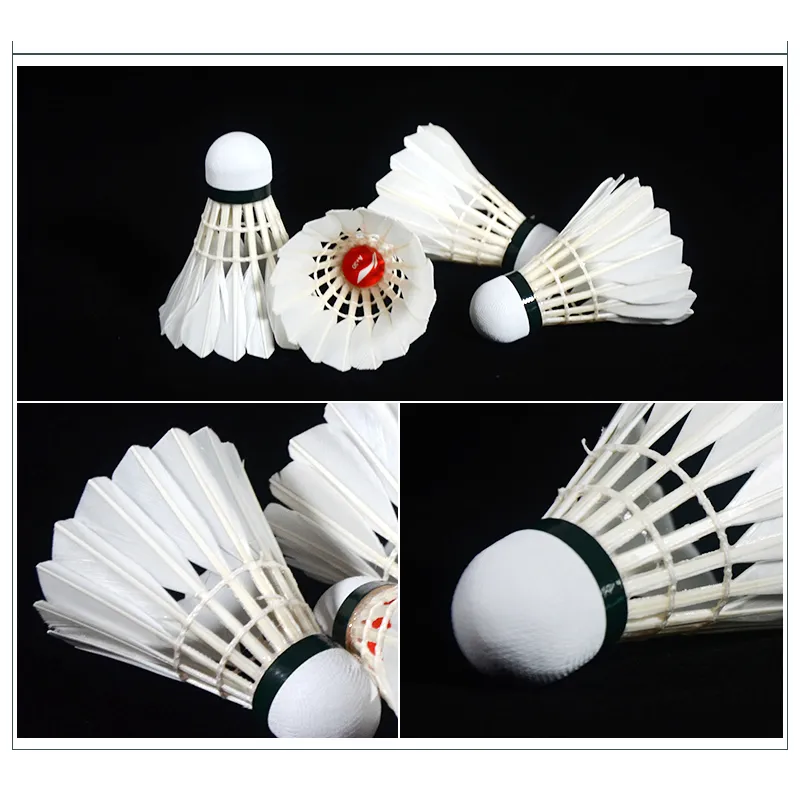 LiNing A+60 Goose Feather Shuttlecock 12 Pack Goose Feather Match Ball Shuttlecocks-2