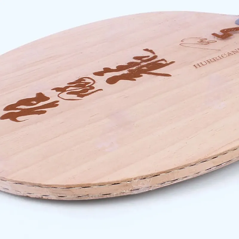 DHS Ping Pong Paddles-3