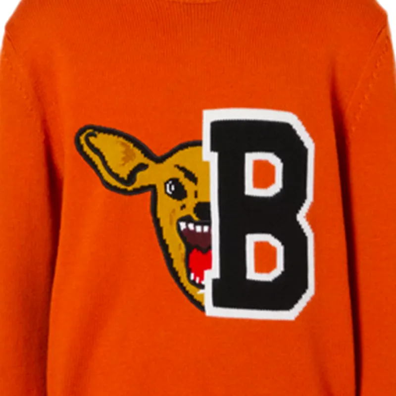 Burberry Sweaters Men Orange-4