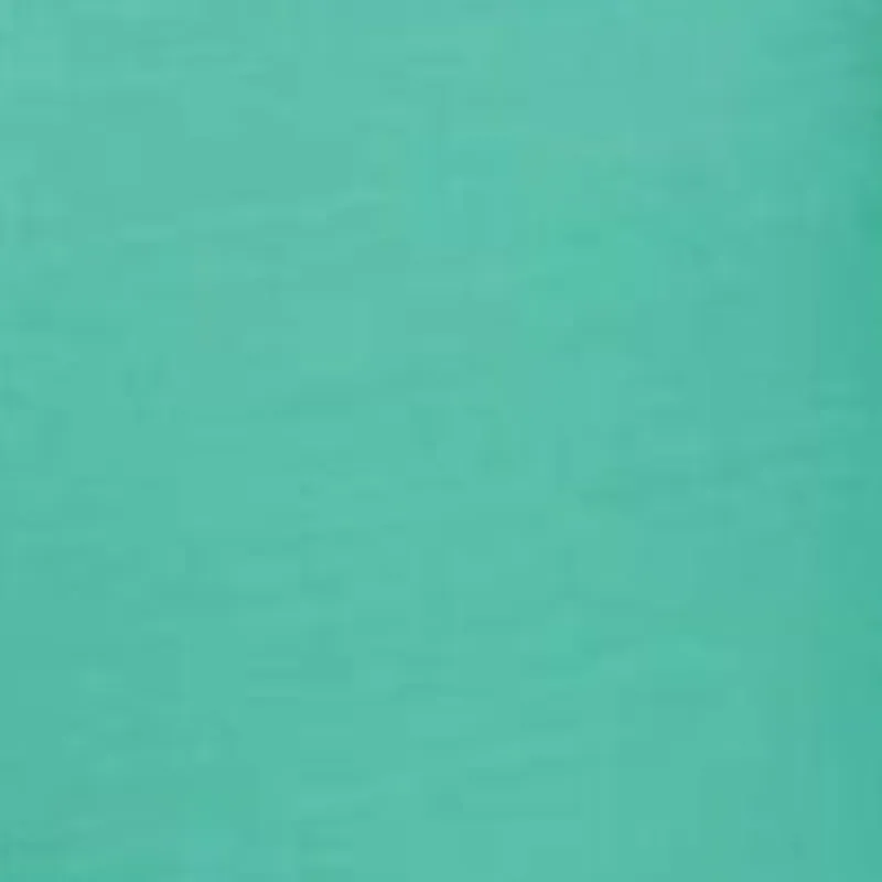 DIOR Casual Shorts Women's Green-4