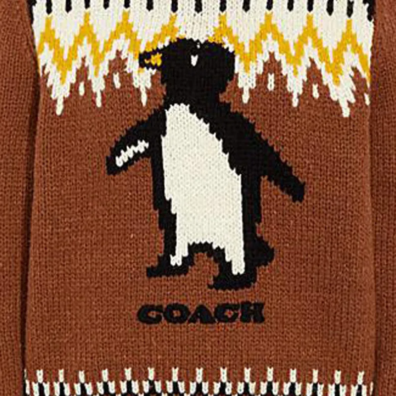 COACH FW22 Sweater Women's Brown-1