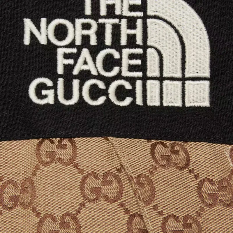 GUCCI X The North Face Down Jacket-3