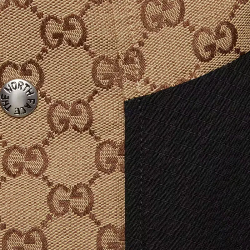 GUCCI X The North Face Down Jacket-2