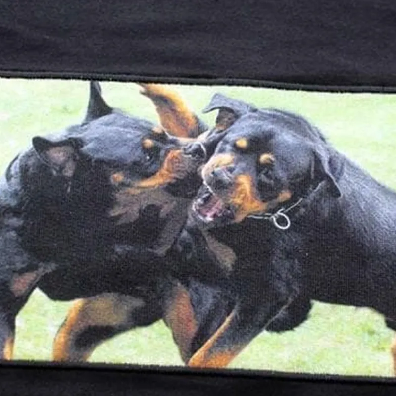 Givenchy T Shirts Men Black-2