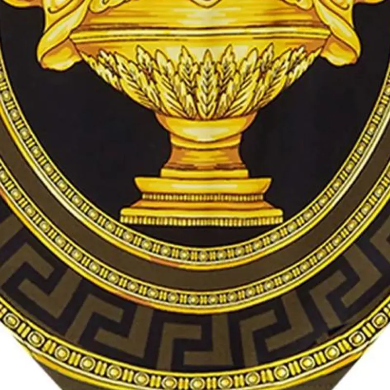 VERSACE La Coupe Des Dieux Swim Briefs-3