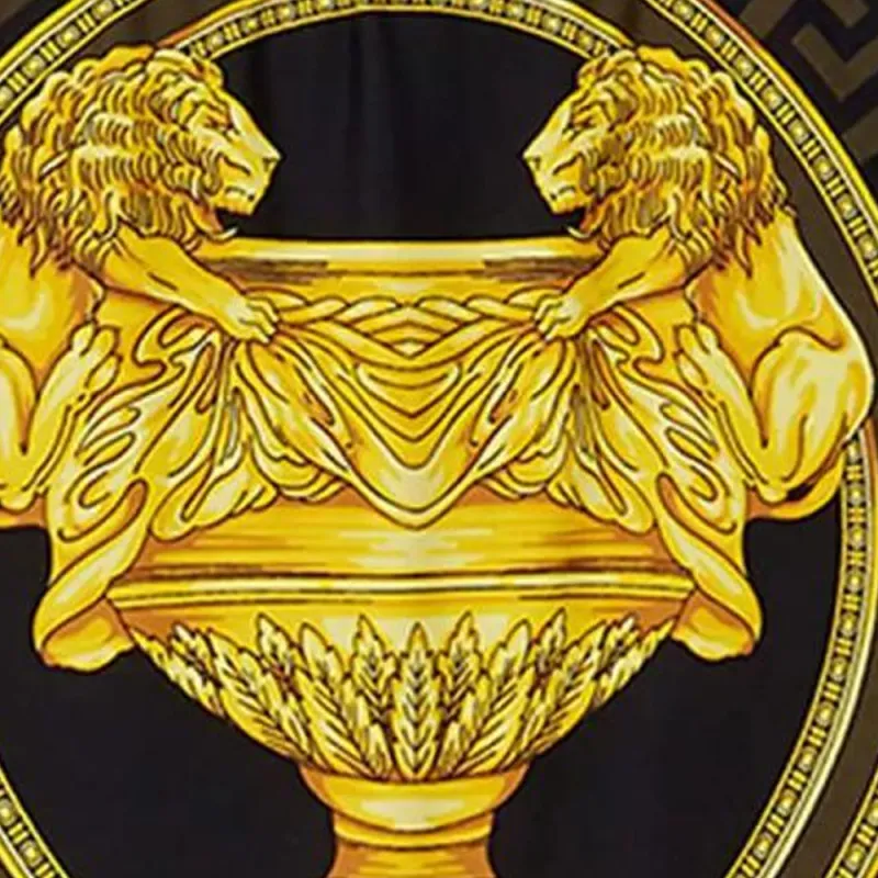 VERSACE La Coupe Des Dieux Swim Briefs-2