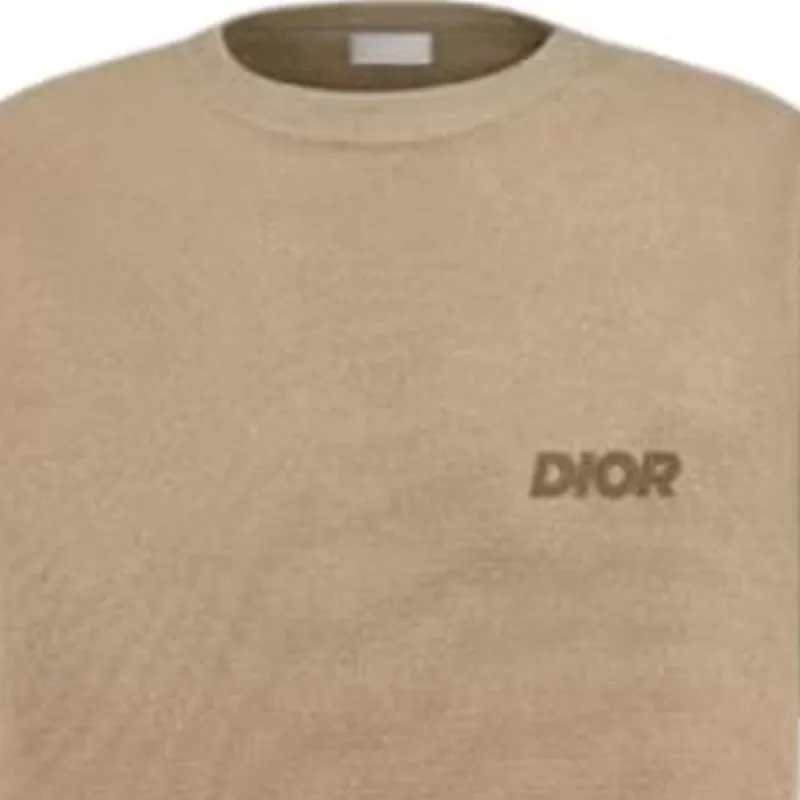 DIOR Letter Print Crew Neck Pullover Short-Sleeved T-Shirt Men's Beige-2