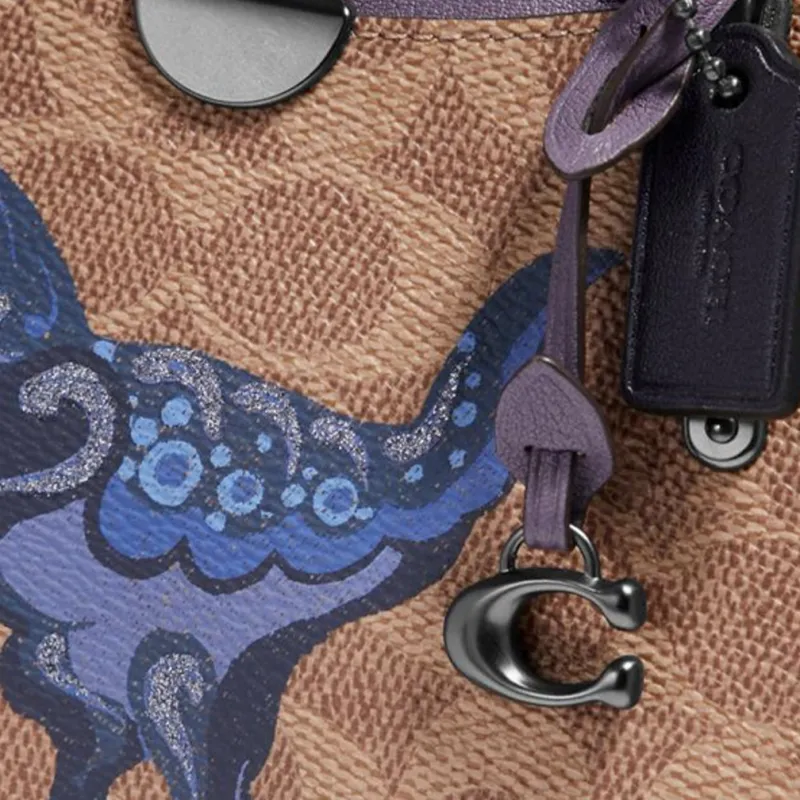 COACH Dreamer Handbags-3