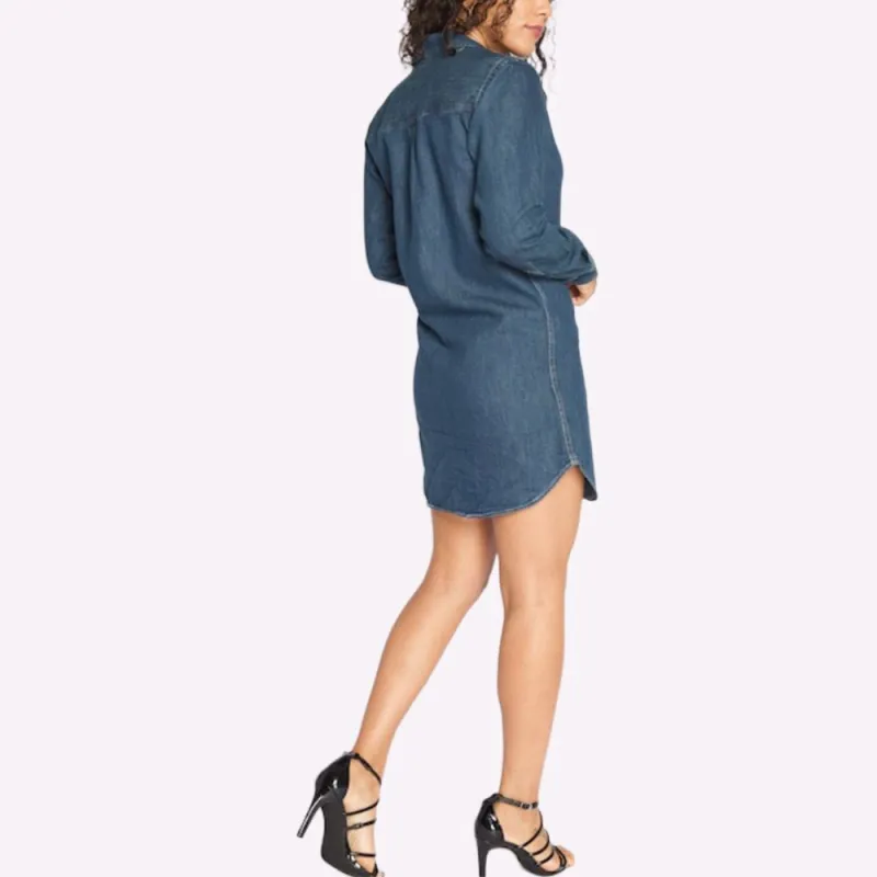 Polo Ralph Lauren SS22 Long Sleeved Dresses Women's Blue-4