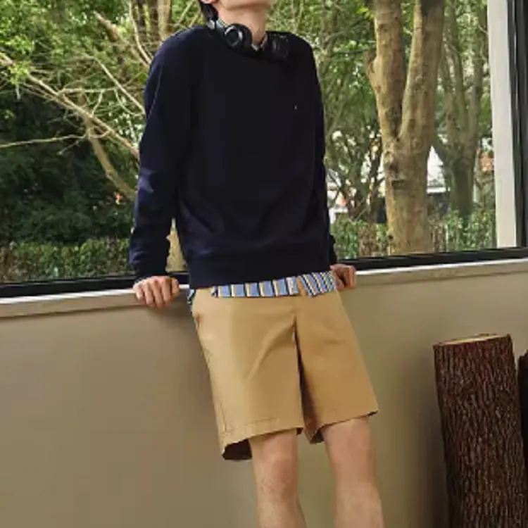 Tommy Hilfiger Casual Shorts Men's Khaki Brown-2