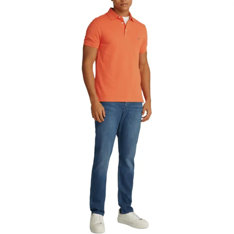 Tommy Hilfiger Logo embroidered Polo Shirt-2