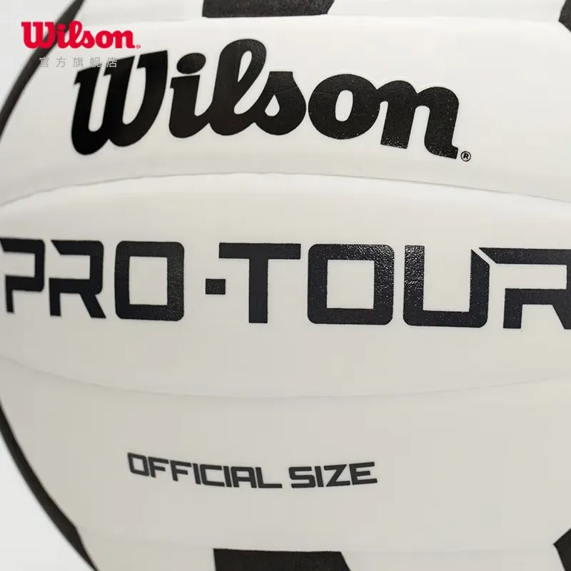 Wilson Volleyball-5