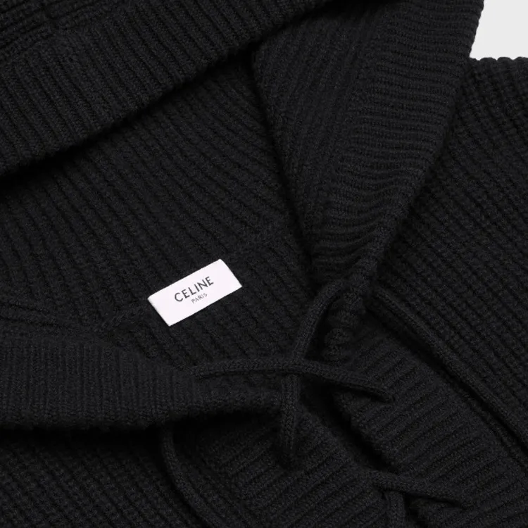 CELINE SS22 Men Luxury Hoodies Black-5
