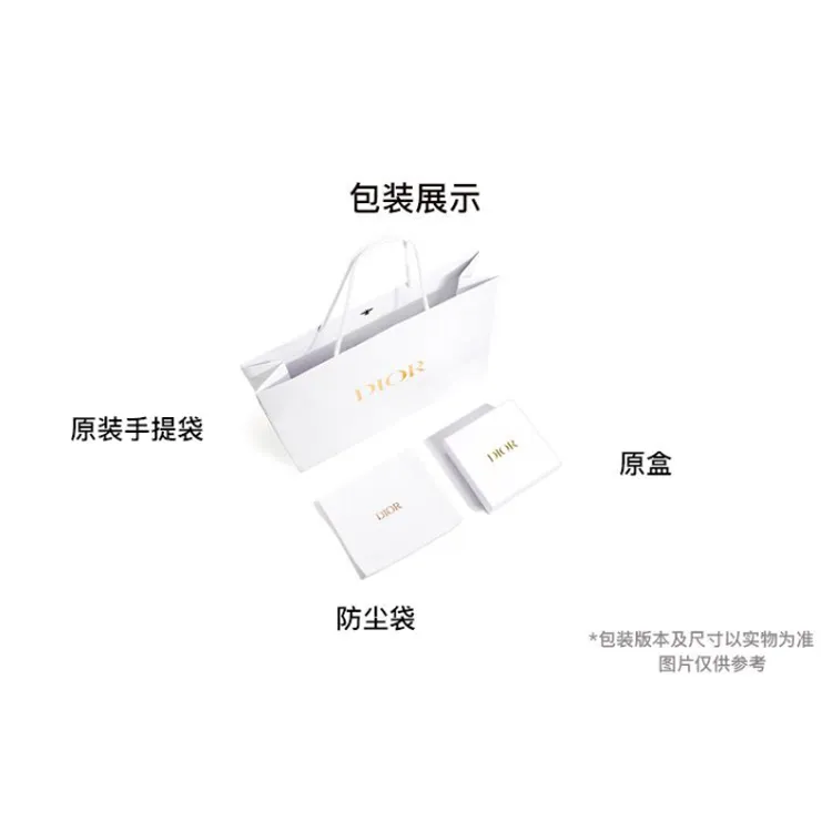 DIOR Saddle Clutches-6