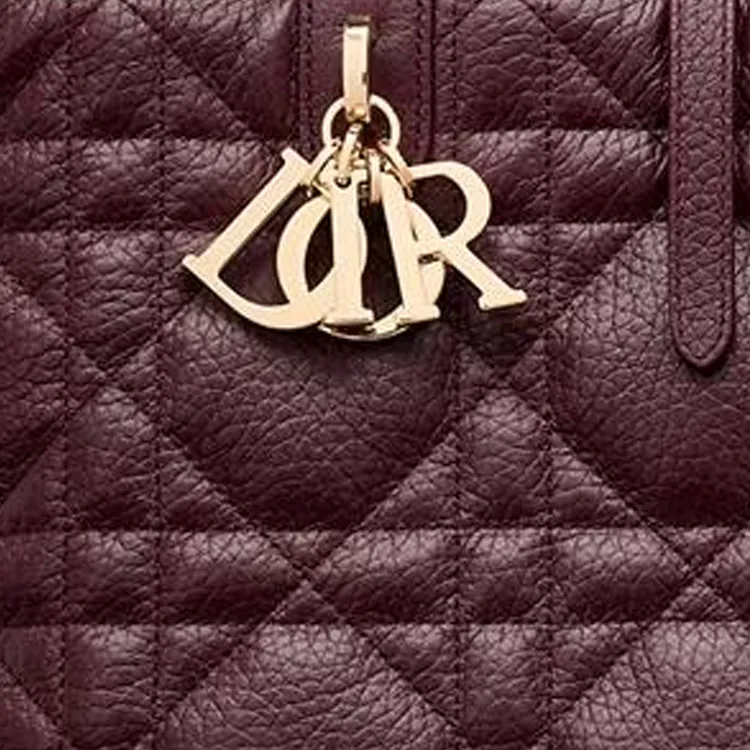DIOR Toujours Calfskin Indigenous Bag, Tote Bag, Shopping Bag, Handbag Medium Size Women's Burgundy-3