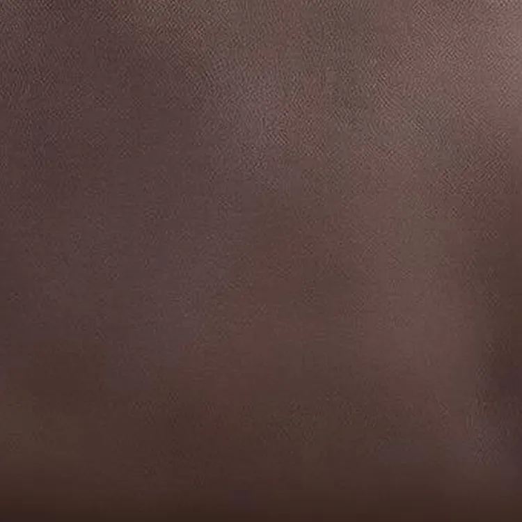 COACH Swagger Glove Tanning Shoulder Bag Crossbody Bag Handbag Large Size Women's Dark Brown-3