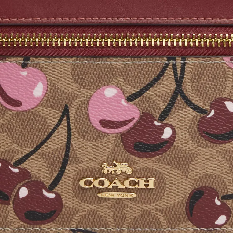 COACH Smooth Leather Makeup Bag Mini Women's Brown & Red-2