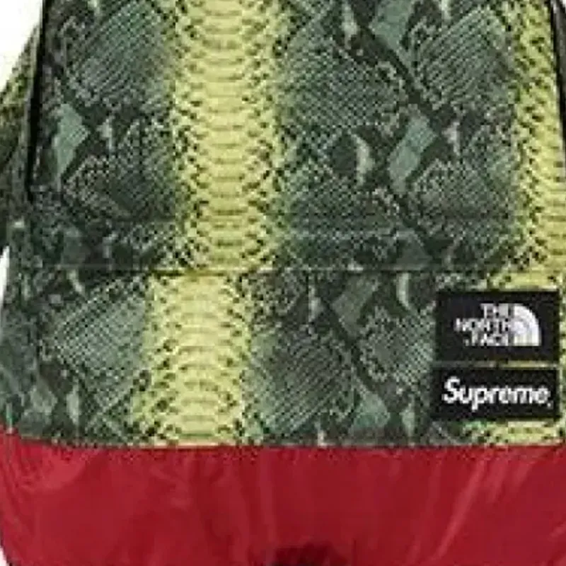 Supreme The North Face Collaboration Supreme SS18 Fabric Travel Bag Backpack Regular Unisex Green-2