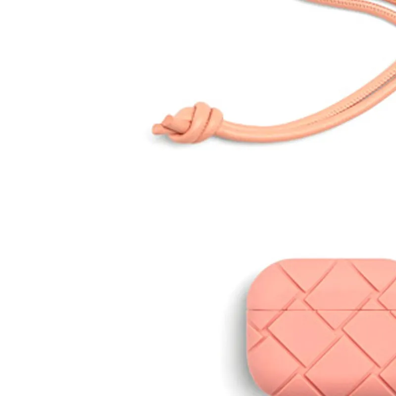 Bottega Veneta Bottega Veneta Luggage Collection Cow Leather Earphone Case Unisex Light Pink-1