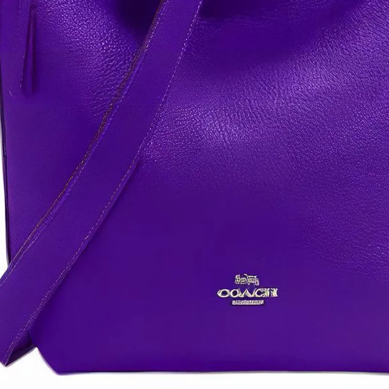 COACH Pebbled Leather Bucket Bag, Shoulder Bag, Crossbody Bag Medium Size Women's Purple-1