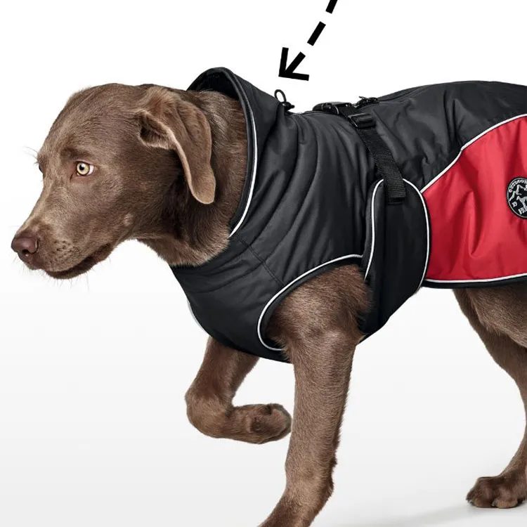 Hunter Pet Clothing-2