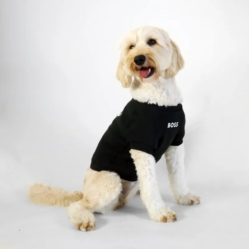 HUGO BOSS Pet Clothing-3