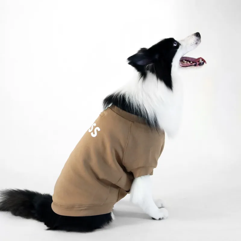 HUGO BOSS Pet Clothing-1
