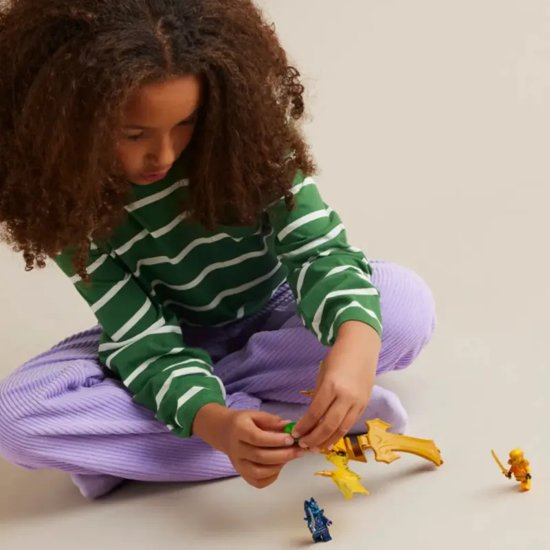 LEGO Arin's Rising Dragon Strike Building Blocks 71803-3