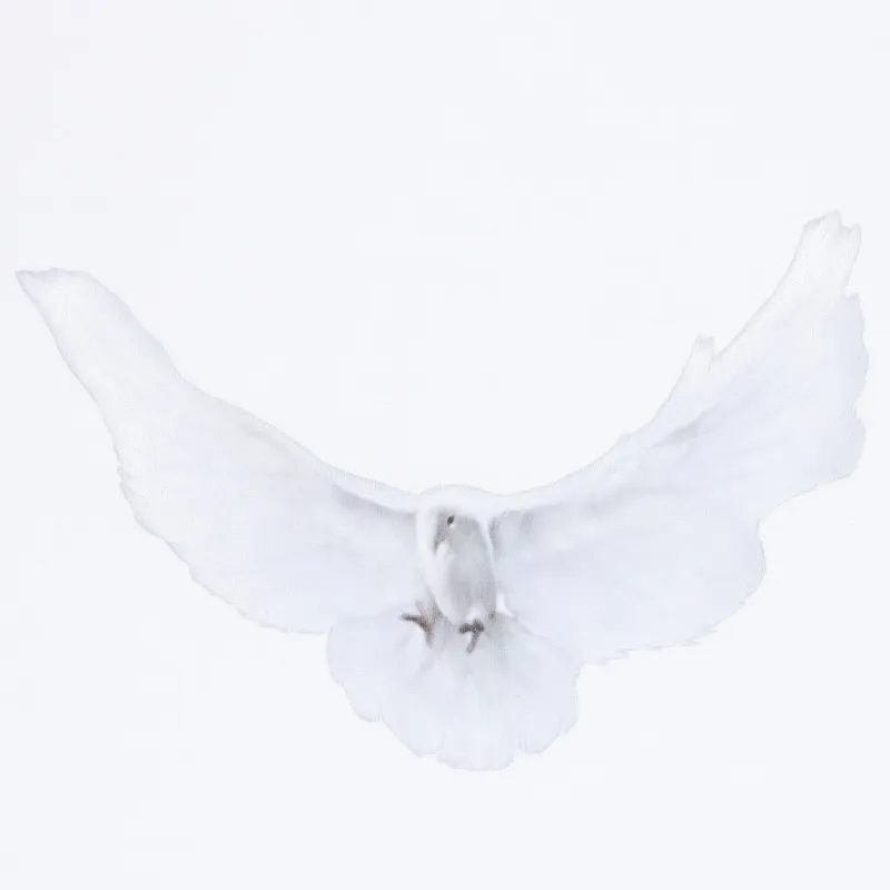 Balenciaga X YEEZY T Shirts Unisex White-2