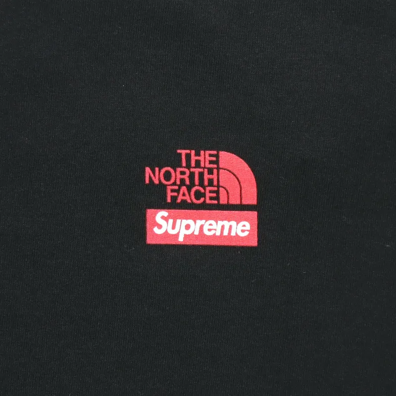 Supreme X The North Face Statue Of Liberty T Shirt-5