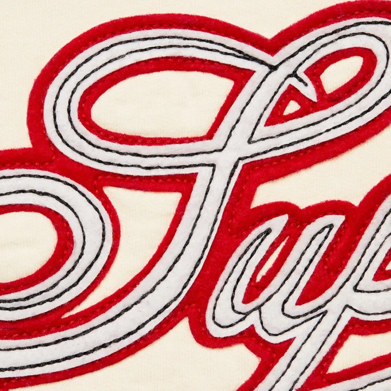 Supreme Paneled Script Hooded Sweatshirt-5