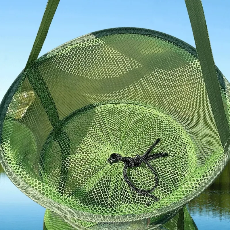 Monda Fish Guards-1