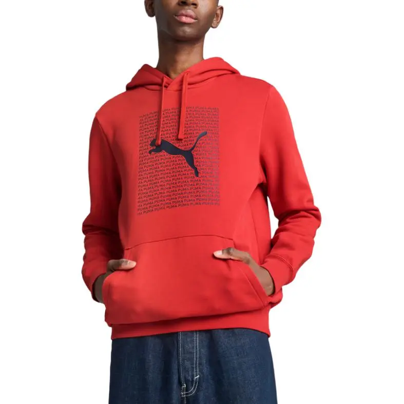 PUMA Essentials Logo Lab Hoodie Men-2