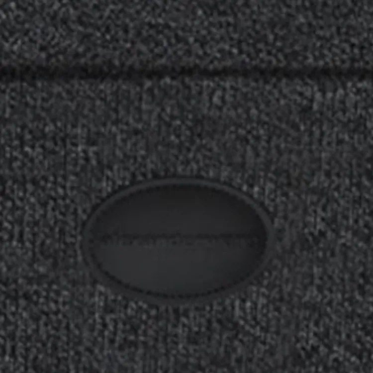 Alexander Wang Ribbed Domed Logo Patch Beanie-2