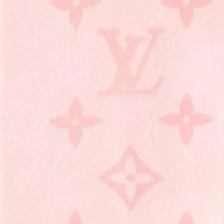 LOUIS VUITTON Cashmere Knit Scarves Women's Pink-2