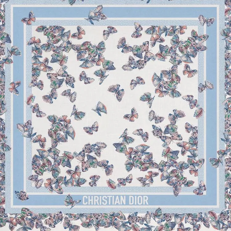 DIOR Cashmere Shawls Women's Sky Blue-1