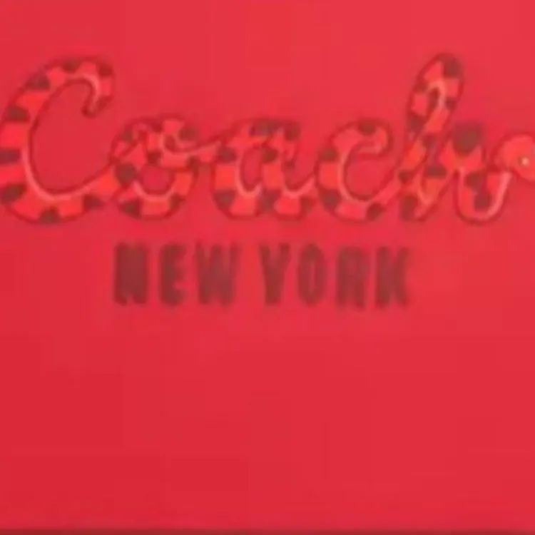 COACH Silk Silk Scarves Women's Red-1