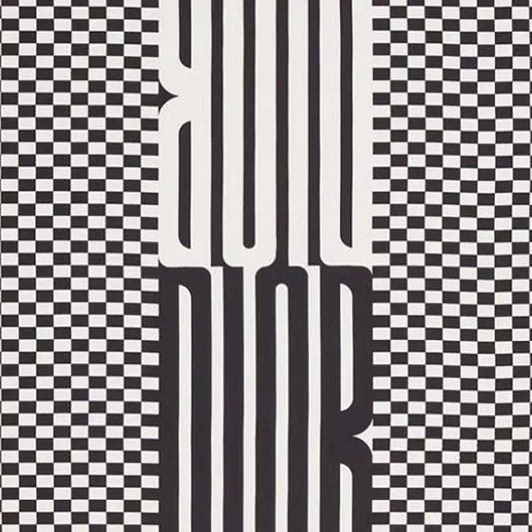DIOR Silk Scarves Unisex Black White-1