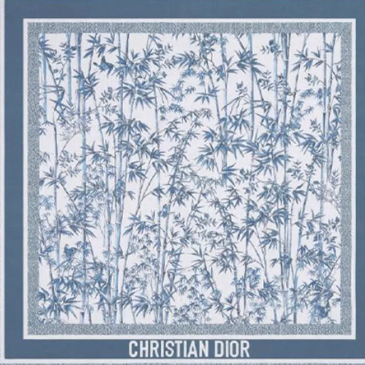 DIOR Cashmere Shawls Women's Marine Blue-1