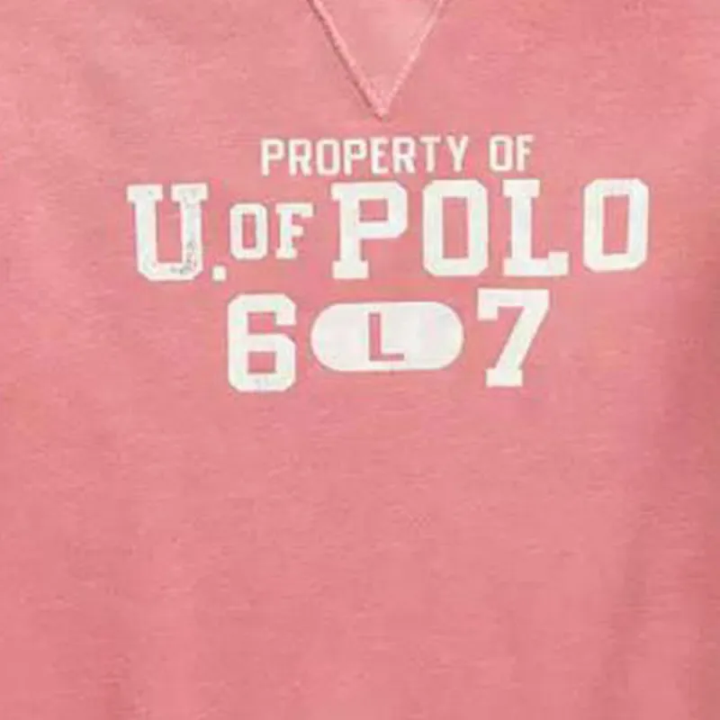Polo Ralph Lauren FW22 Sweatshirt Men's Pink-4